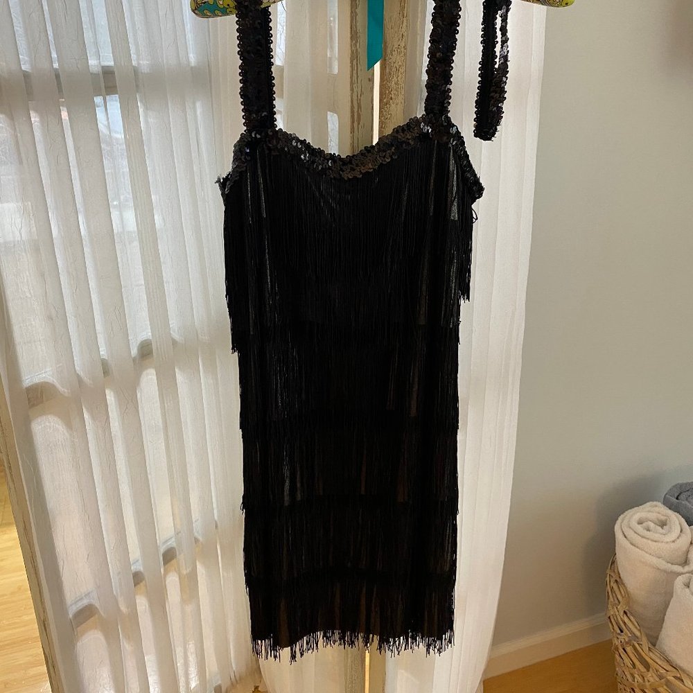 Fringed Flapper Dress & Matching Head Band